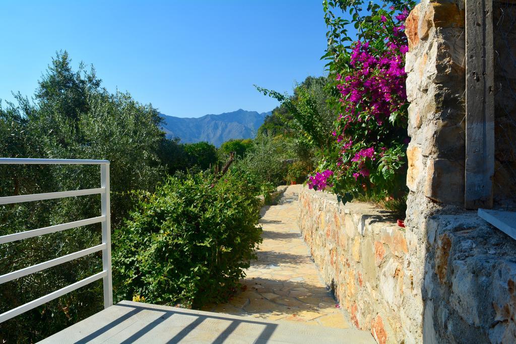 Villa Goxhi 보르쉬 객실 사진