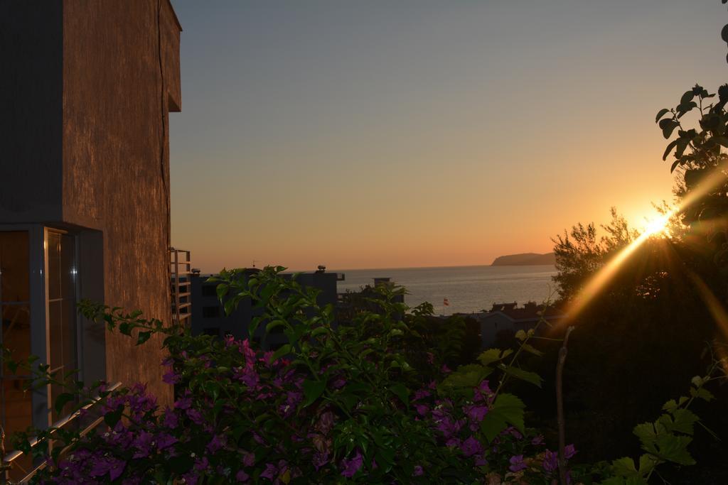 Villa Goxhi 보르쉬 객실 사진